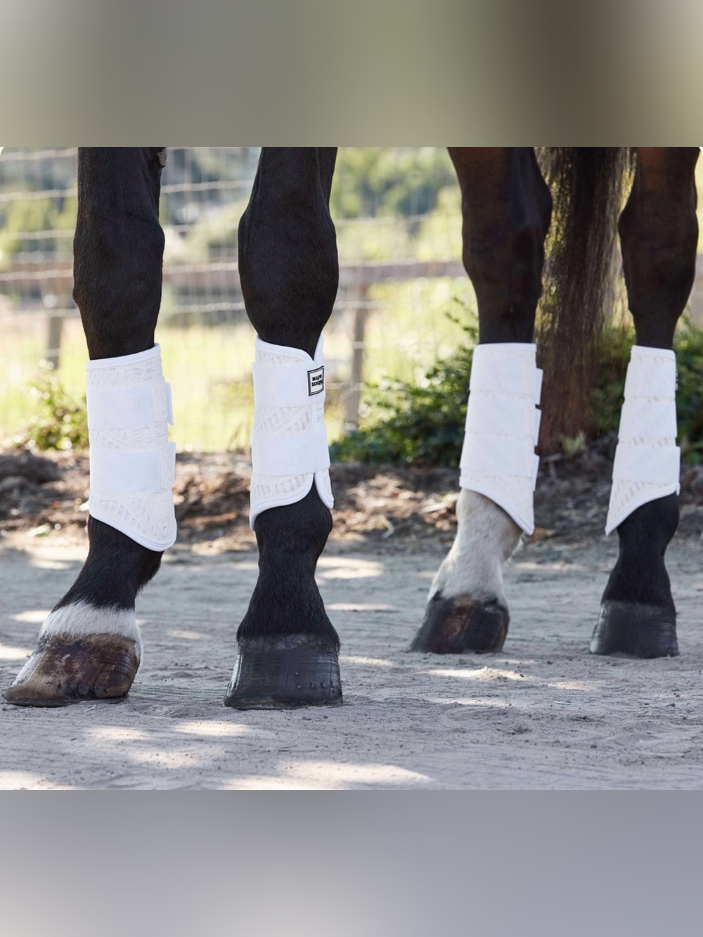 NEW Majyk Equipe XC ELITE Eventing Boot Full Set Large White SOLD OUT Size/Color